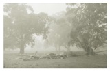 Glass house mountains Queensland